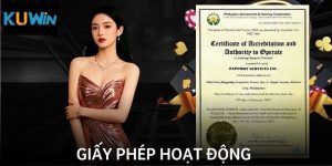 Giấy Phép Hoạt Động