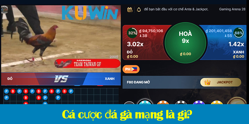 Đá gà trực tuyến – Hướng dẫn chi tiết cách chơi trên các nền tảng online